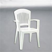 環(huán)球牌沙灘椅(進(jìn)口)