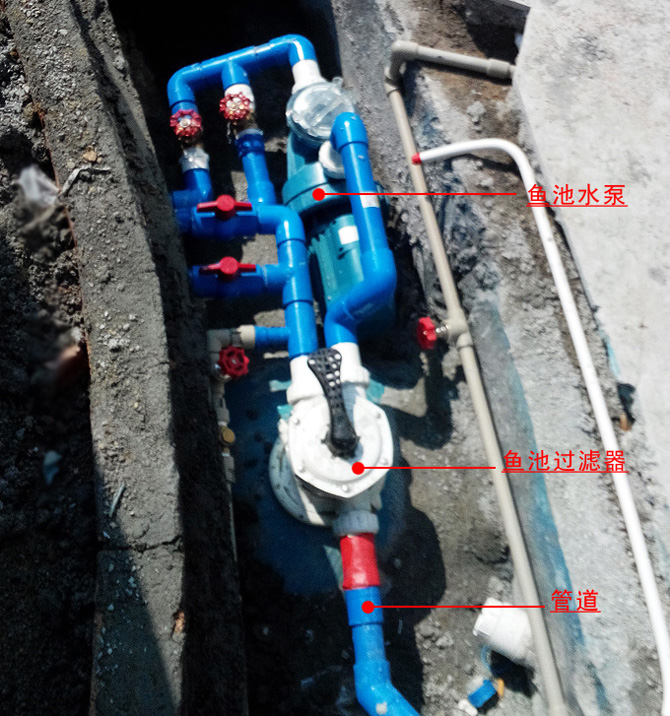 魚池水質凈化過濾系統(tǒng)