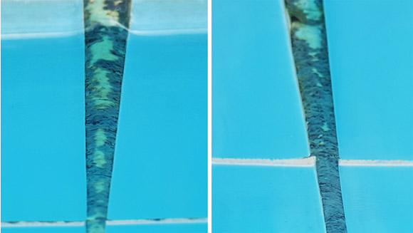 泳池青苔對(duì)比圖片