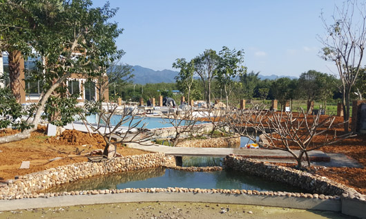 魚(yú)池紫外線殺菌器